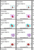 Etiquettes pour cahier - coccinelles