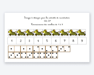 Fiche de numération à imprimer : zèbres et cartes-nombres à découper, de 1 à 9